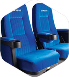 BlueSeat Priority Seating